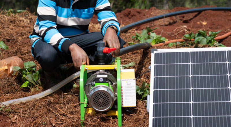 Post-Harvest Handling Tools